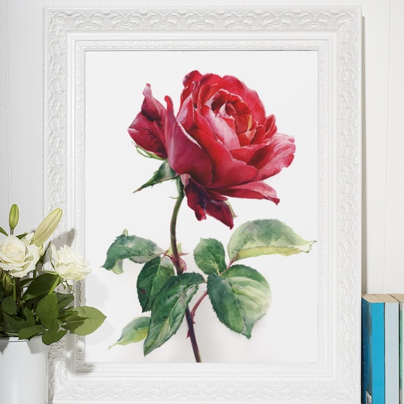 Watercolor Single Red Rose Wall Art Print, Unframed - Timeless Floral Elegance - Picture 6 of 6